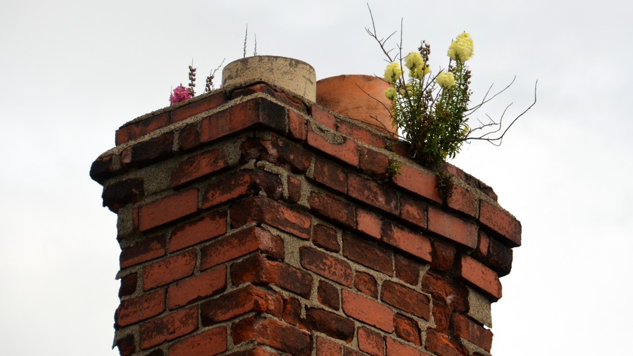 Inspecting An Unused Chimney