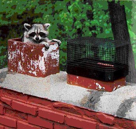 caps prevent animals in chimney