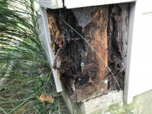 chimney wood rot